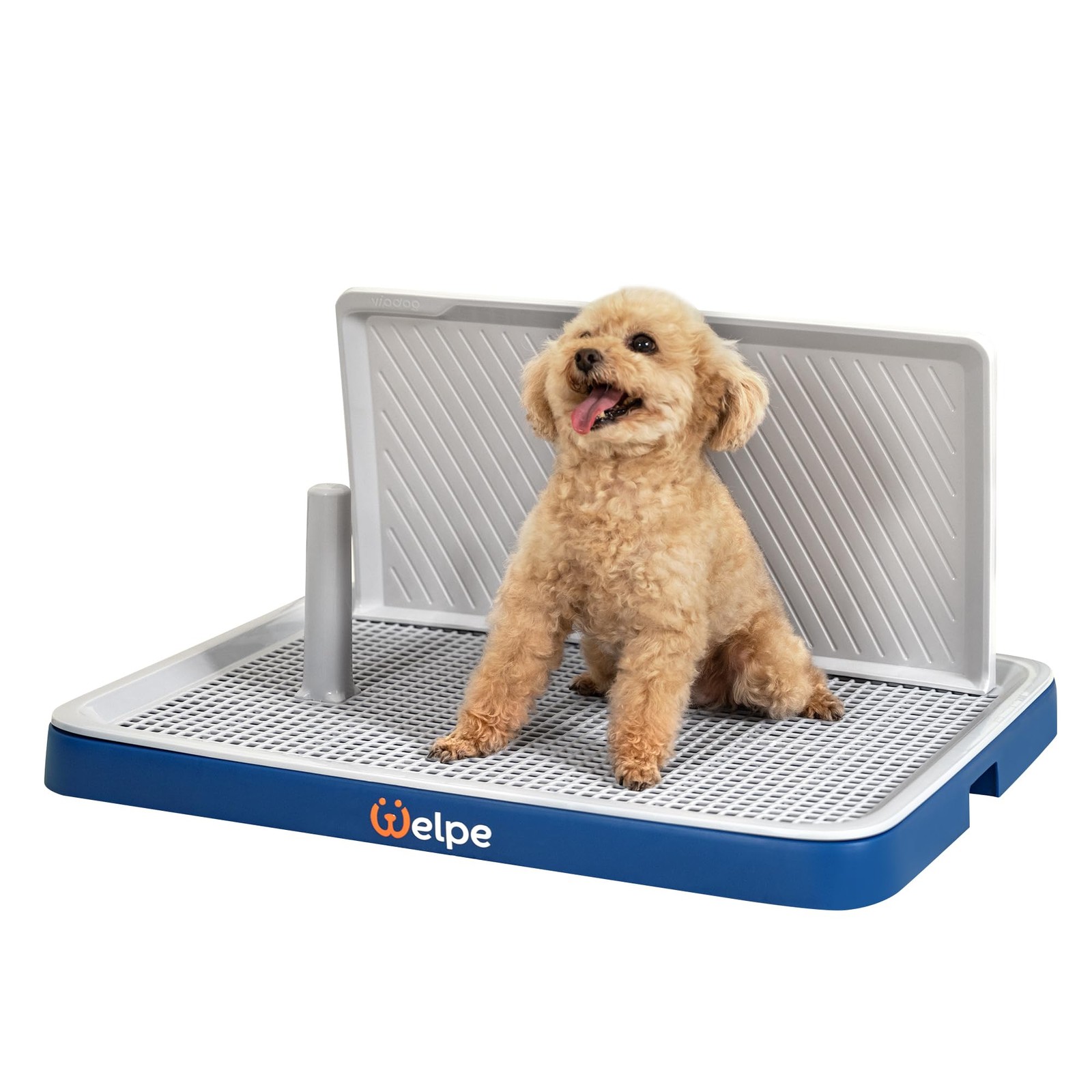 &ndash; The Perfect Indoor Dog Potty Tray With High Walls For ..