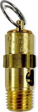 Brass, 1/4" NPT Economy Soft Seat Safety Pressure Relief Valve, Made in the USA