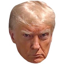Donald Trump Mug Shot Celebrity Mask, Flat Card Face, Fancy Dress Mask