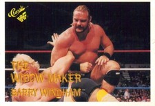 G) WWE WWF 1990 Classic Series 1 Titan Sports Trading Card - Barry Windham #93
