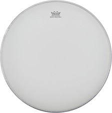 Remo P-190 Weatherking Standard Banjo Head - 11-Inch