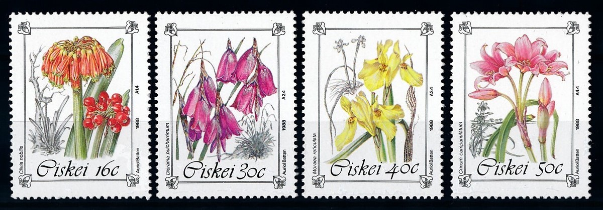 67079] Ciskei 1988 Flora flowers blumen fleur MNH | eBay