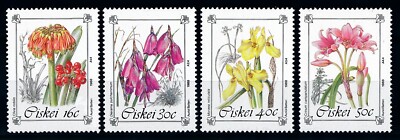 67079] Ciskei 1988 Flora flowers blumen fleur MNH | eBay