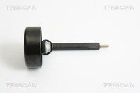 Triscan Spannrolle, Keilrippenriemen 8641 101008 FüR BMW Land Rover Opel