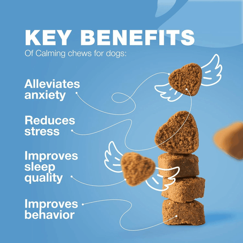 Calming Chews for Dogs Anxiety Relief Treats with Melatonin Chamomile Extract - Picture 2 of 9