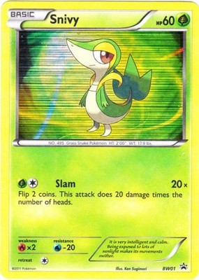 Pokemon Trading Card game choose your Promo Card