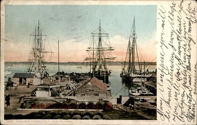 New Bedford Massachusetts MA Whaling Ships at Pier Detroit Publishing c1910 PC