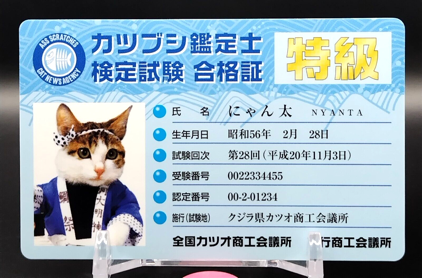 Tarjeta de certificado de pase de examen de certificación de tasador Katsubushi Nameneko japonés