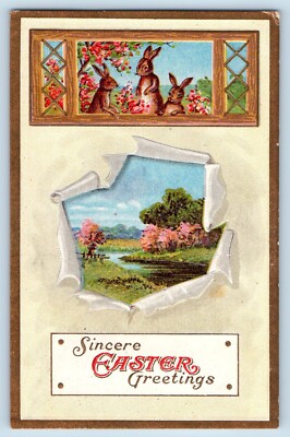 Easter Postcard Greetings Bunnies Rabbit And Flowers Winsch Back Embossed c1910s