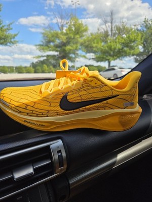 Nike Air Zoom Pegasus 41 Modern Mayfly Pack IH3257-700 In Stock