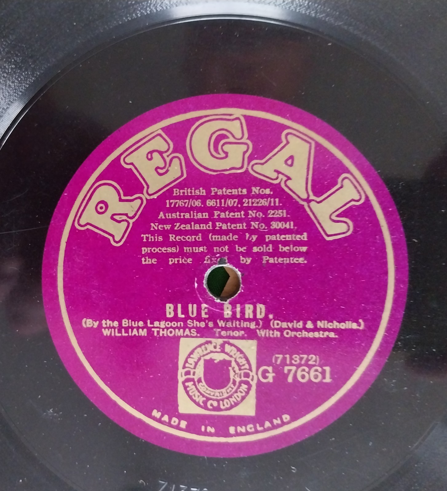 William Thomas: Blue Bird / Amazon 10" Shellac 78 Excellent Condition