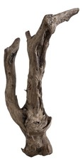 Treibholz XL /Gebilde/Skulptur/ Wurzel/Baumteil/Ast