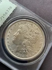 1902 P Morgan Dollar PCGS MS63 Rattler Holder