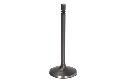 Für DNJ IV428 Intake Valve IV428 Intake valve (46x7x114,9) fits: FORD USA EXPLO