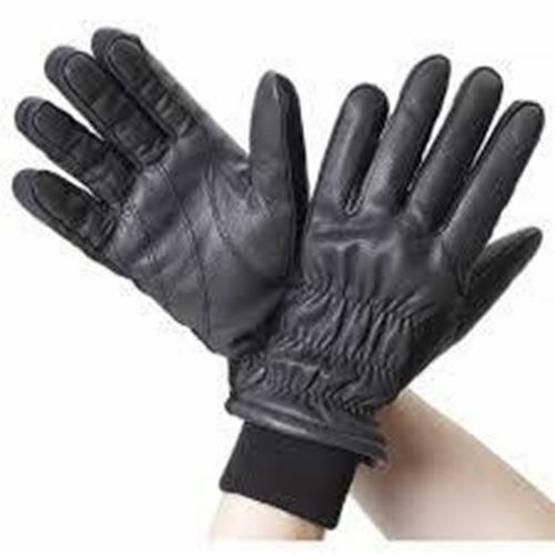ovation thinsulate riding gloves