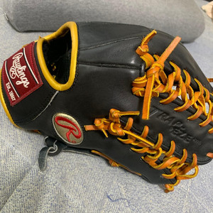 Rawlings Gold Glove Label | eBay