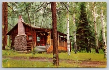 Cabin in the Hills Kern City California CA Bakersfield Chrome c1960s Postcard