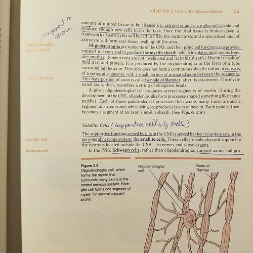 Foundations of Physiological Psychology Neil R. Carlson 1988 - Picture 12 of 12