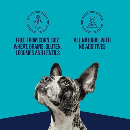 Single Ingredient Natural Dog Treats - Freeze Dried Chicken Liver, 11.5 oz - Picture 8 of 9
