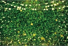 Green Grass Leaves Spring Photo Backdrop Birthday Wedding Newborn Background
