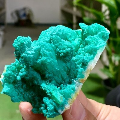 121G Natural green copper zinc ore * Rare ARSENATE Minerals