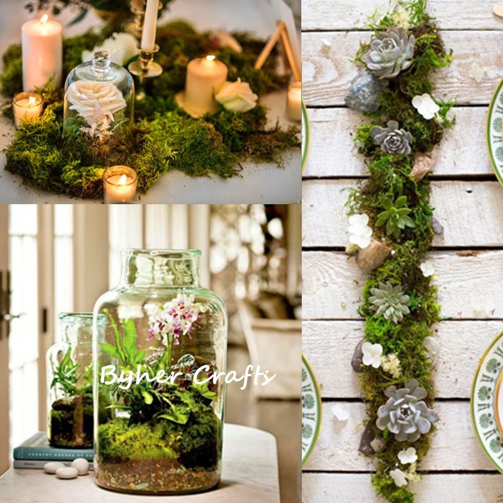 92926 Preserved Forest Moss, Fresh Green (16OZ)