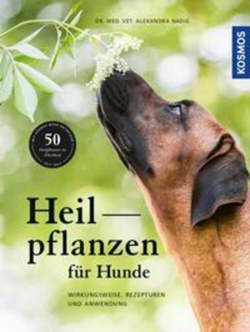 Thumbnail - Heilpflanzen Für Hunde | Alexandra Nadig | Buch | 200 S. | Deutsch |