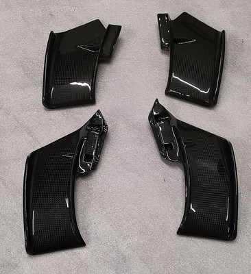 Ali Wings CARBONIO DUCATI Streetfighter V4/S V2/S