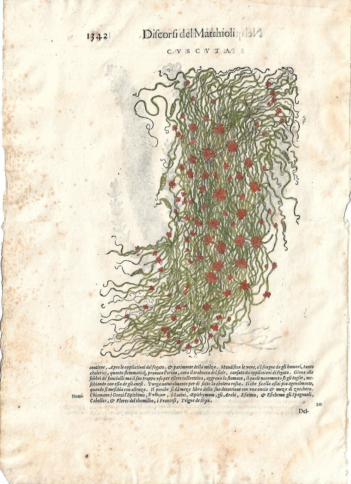 Foto 1 di 1