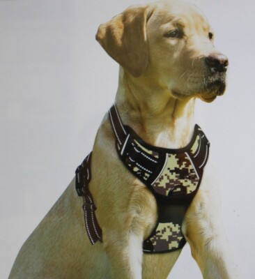 BARKBAY No Pull Dog Harness Front Clip Heavy Duty For Medium Dogs