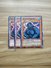 Yu-Gi-Oh! - Mother Grizzly 3X - Complete Playset