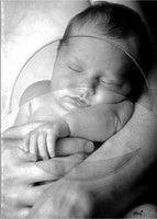 Bimbo Neonato -CD+CARD REVIVAL-TRIBUTI CD