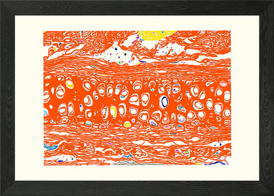 Gerahmtes Wandbild Knorpelknochen Poster Leinwanddruck Bild