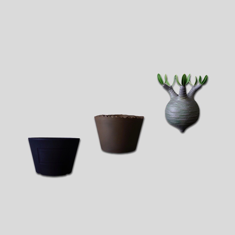 MEDICOM TOY - MEDICOM TOY × BOTANIZE Pot BLACK 3個セット MEDICOM TOY × BOTANIZE Pot BLACK 3個セット