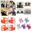 colorfulshop2016