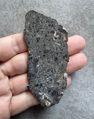 Meteorit Mondachondrit Mond Troktolith NEA 104 12,8g