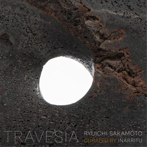 Ryuichi Sakamoto announces new album '12