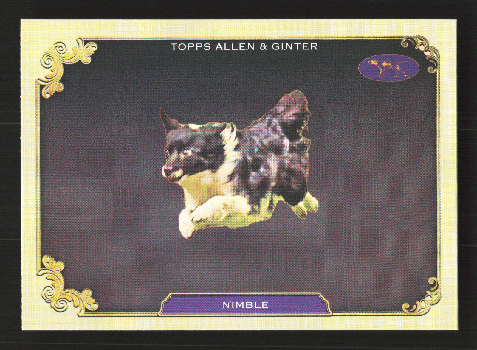 2024 Allen & Ginter Stars Of The Show The Westminster Kennel Club #SOS-34 Nimble