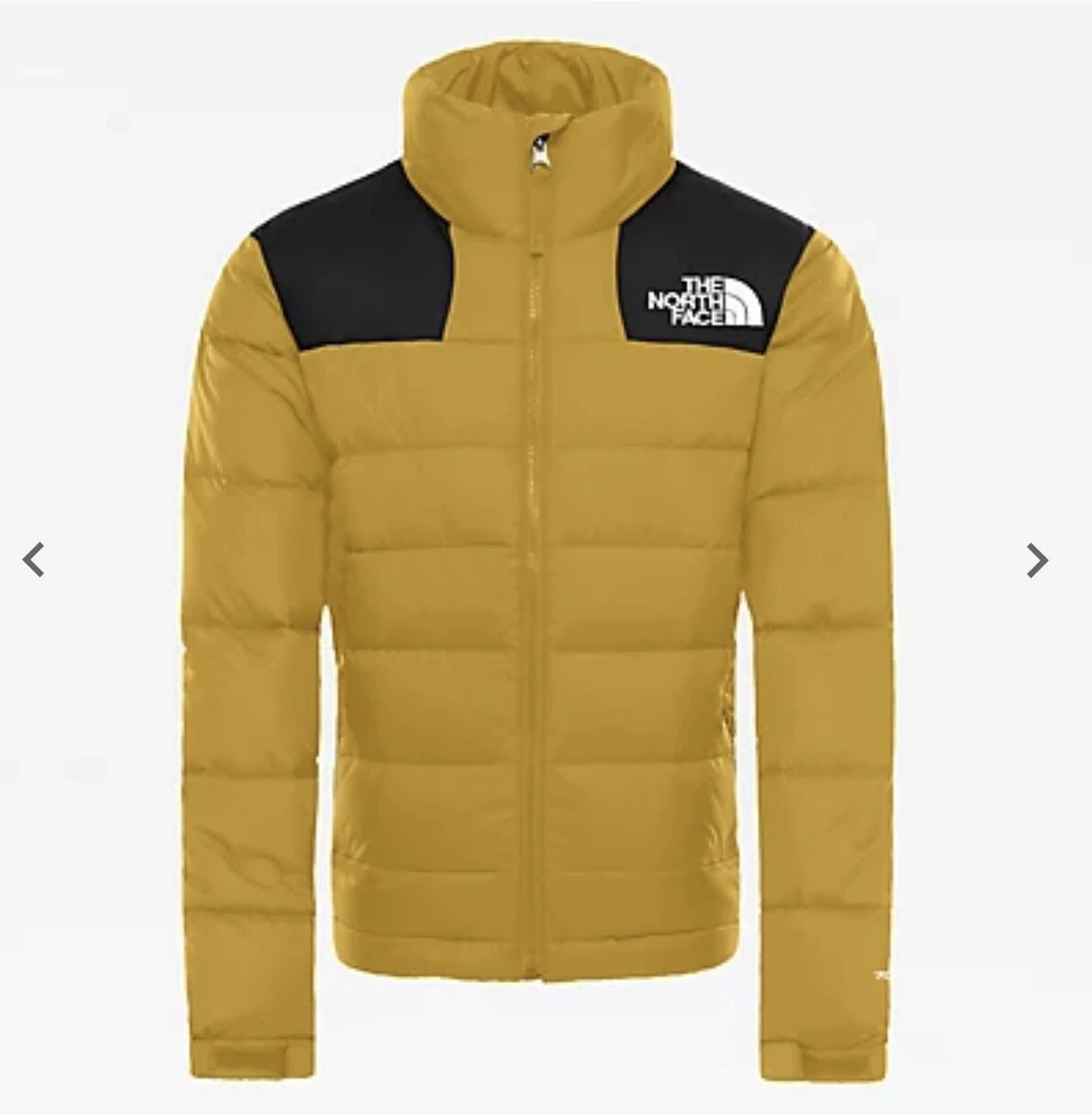 North face hotsell massif jacket