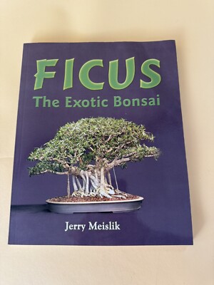 Ficus The Exotic Bonsai