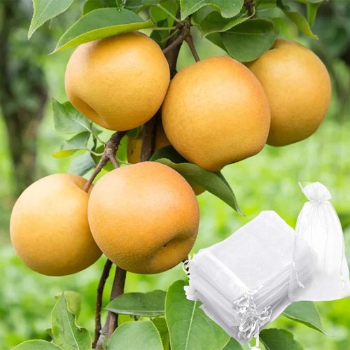 Sustainable Fruit Covers 100pcs Reusable Gauze Bags Protect Your Harvest - Bild 4 von 6