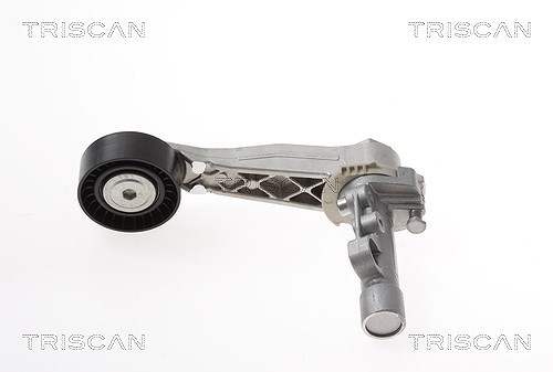 Triscan Riemenspanner, Keilrippenriemen U.A. FüR CitroËN, Ds, Mini, Opel-image