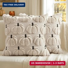 MIULEE Fall Pumpkin Pillow Covers Fall Decor Beige Pumpkin 18x18