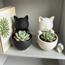 Desktop Ornament Cat-Shaped Planter Pot Plant Container, Potted Plant Potting