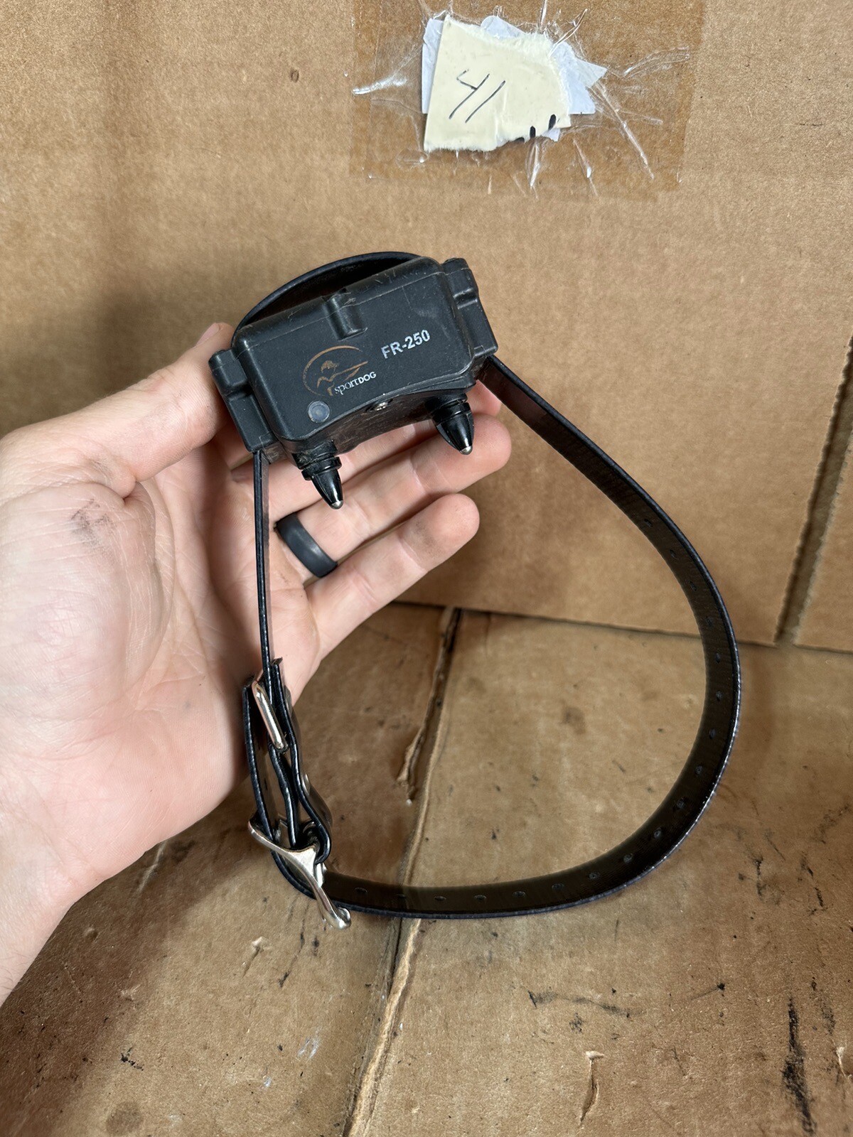 Sport Dog Replacement Dog Trainer Receiver Collar Sdt0014188 FR250 eBay