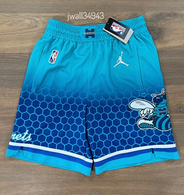 Nike Jordan Charlotte Hornets Men's NBA City Edition Swingman