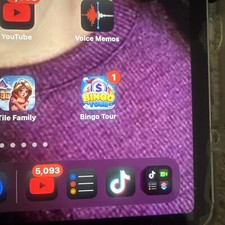 iPad Pro 12.9 4th gen 1TB Unlocked TikTok Version