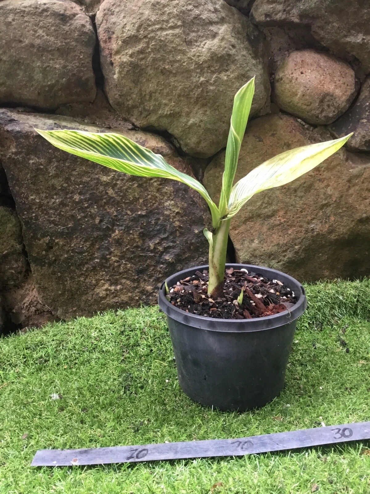 Picture 4 of 6