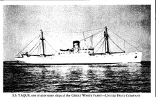 Vintage Postcard SS Yaque Ship United Fruit Company