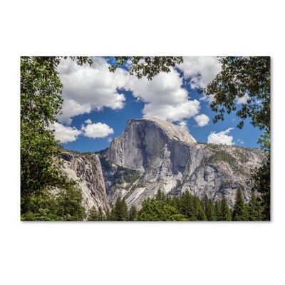 Yosemite Half Dome Artwork by Pierre Leclerc, 22 by 32-Inch